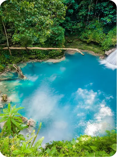 Naturaleza