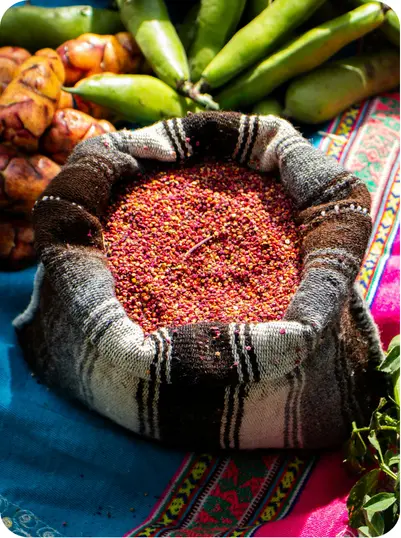 Gastronomía Andina 