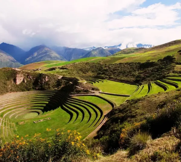 Cusco Land
